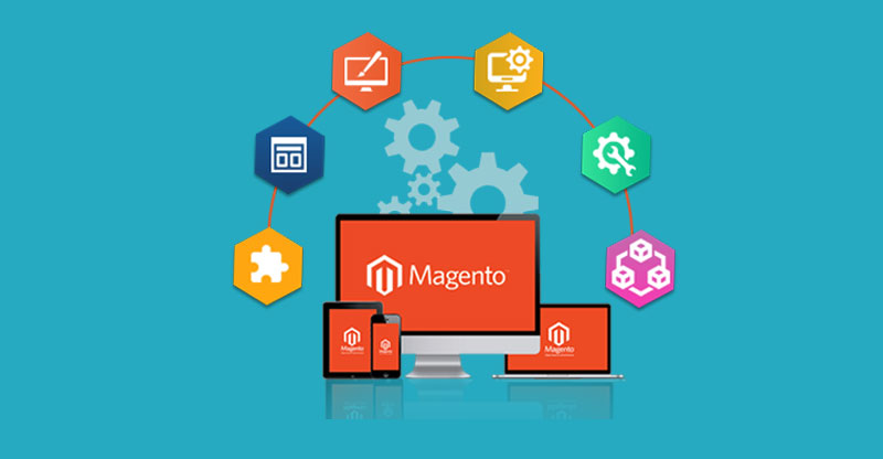 Web Development Services